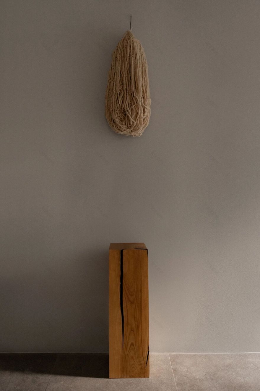 卡尼亚达庄园(注:Casa常见意为房子、庄园等,Cañada音译为卡尼亚达 ,结合常见命名习惯,这里推测为卡尼亚达庄园 ,具体还需结合实际语境) 丨墨西哥墨西哥城丨Espacio Tangible-74