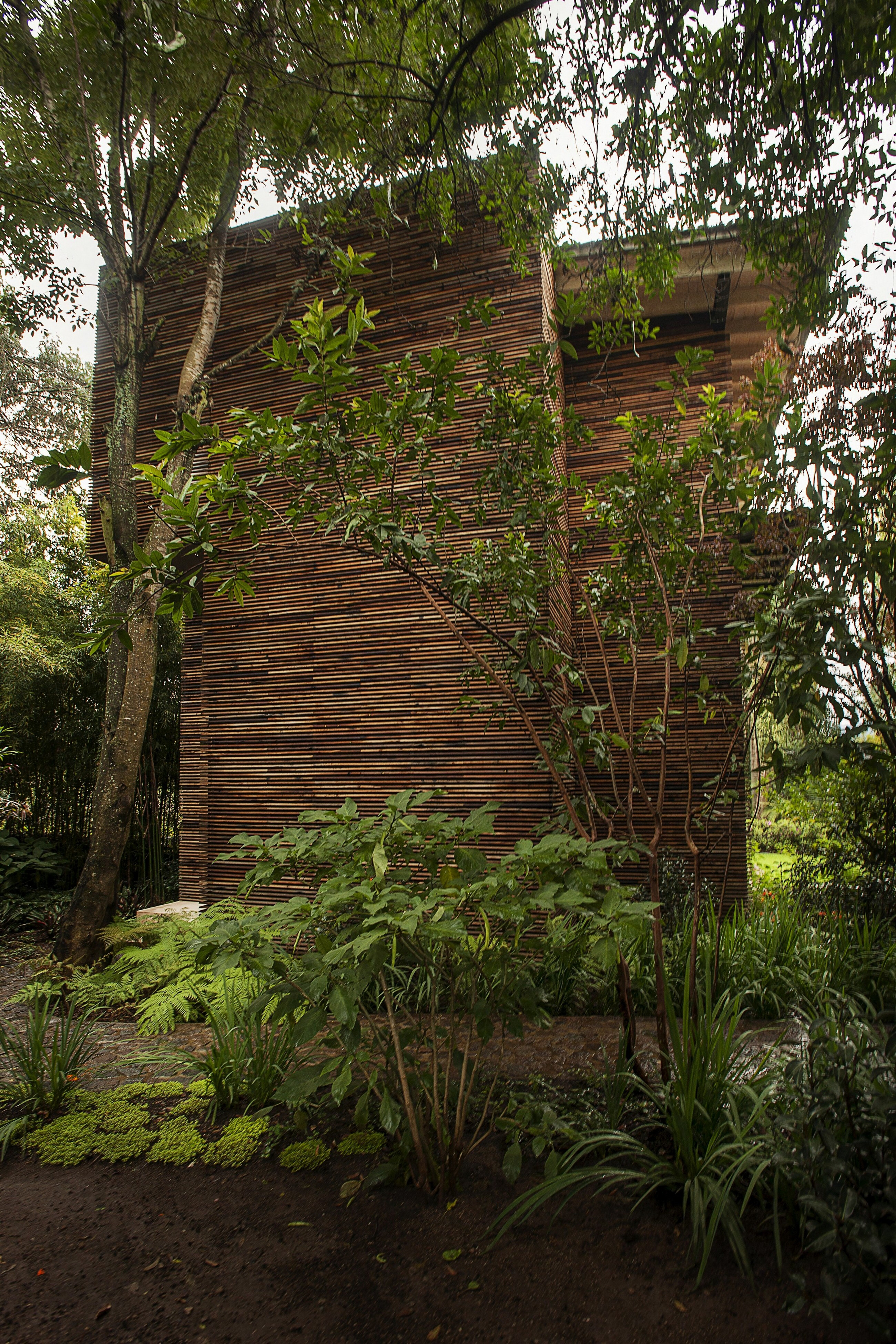 墨西哥简约环保 Chipicas Town Houses-16