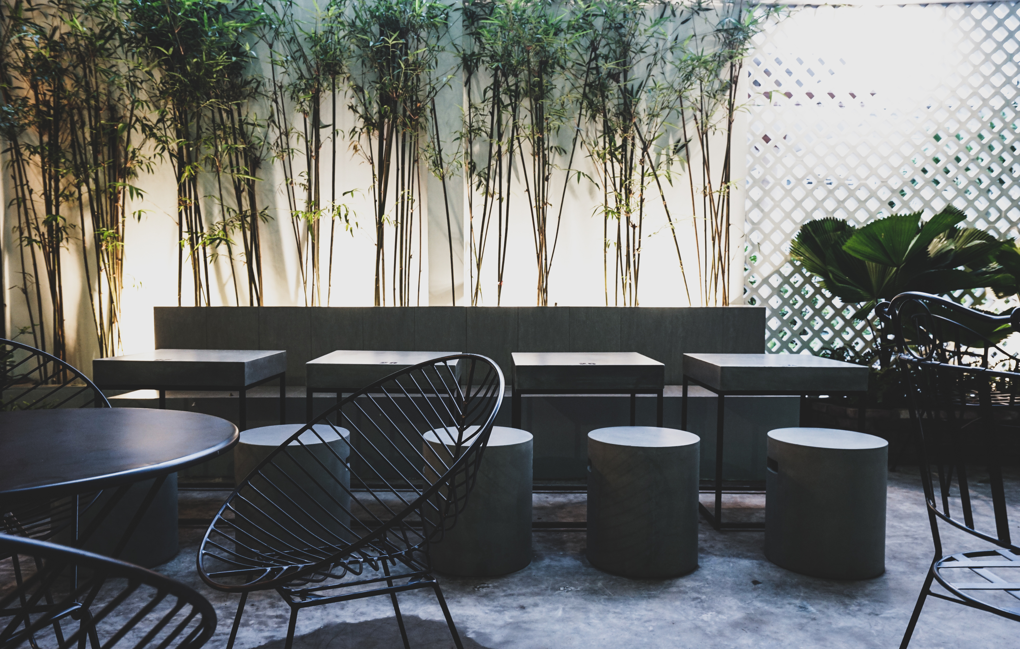 植物与咖啡的现代空间融合-17