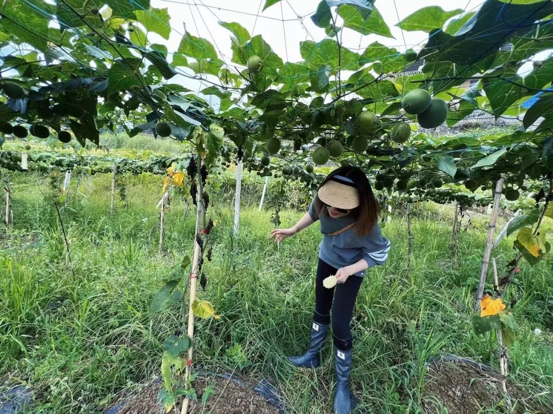 野奢之旅 | 囿于市井，而向山海-108