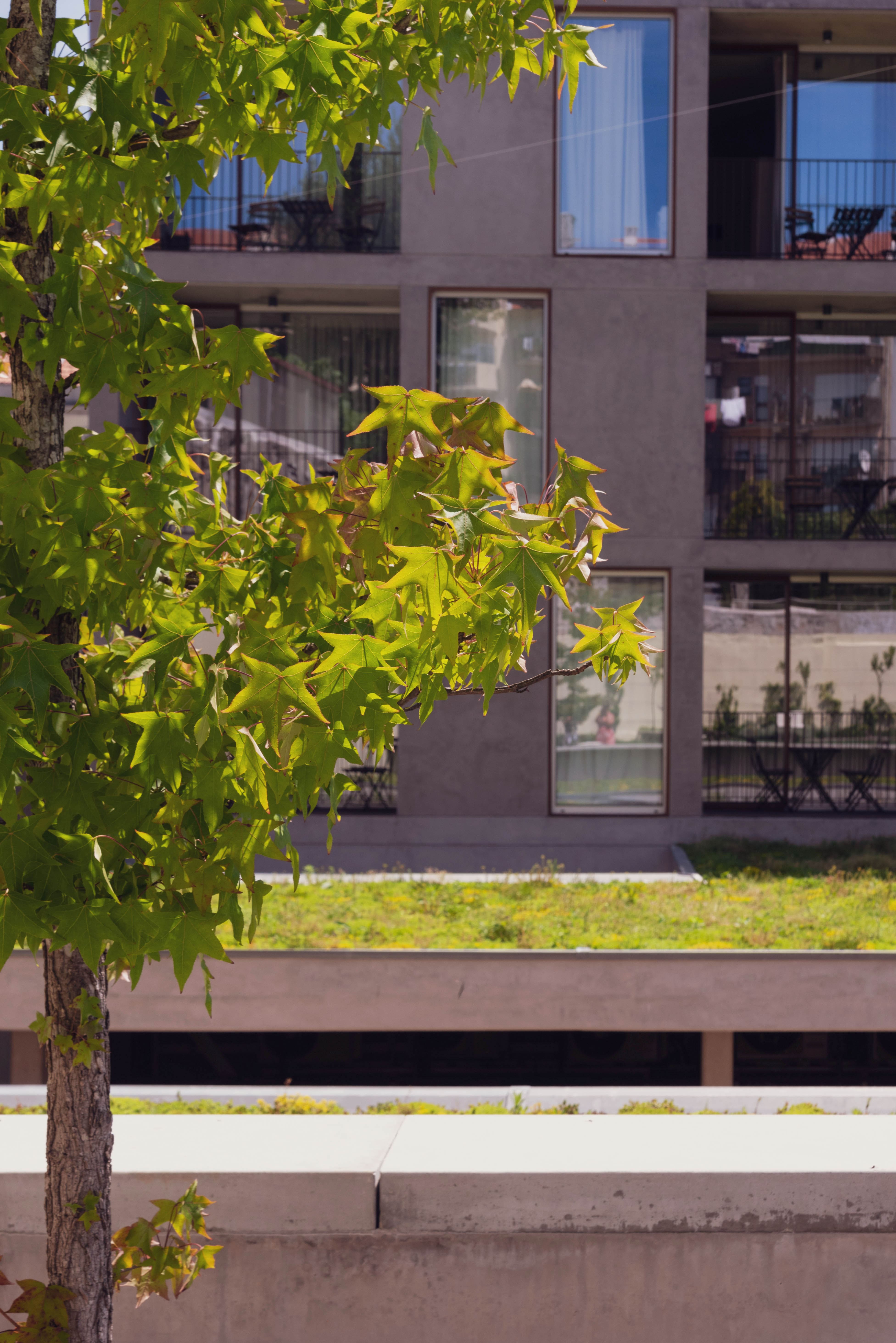 波尔图安塞尔莫公寓酒店丨葡萄牙波尔图丨Alexandra Azevedo-8