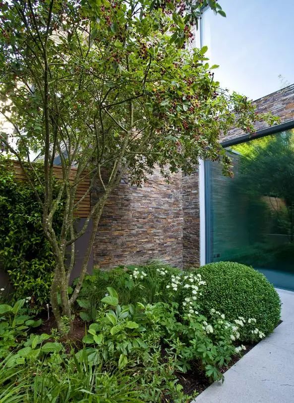 简洁精致的小庭院，拥有一个今生足矣-42