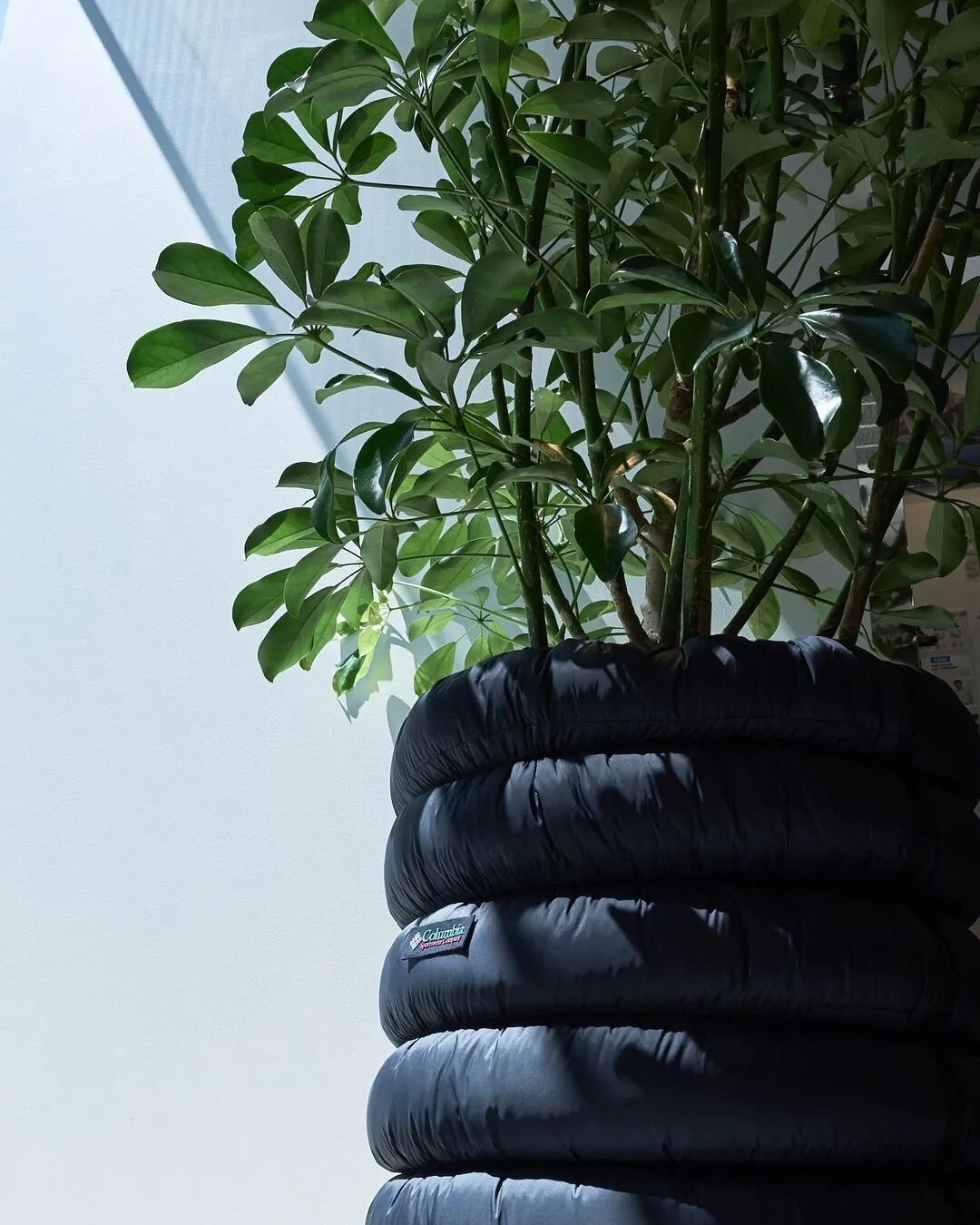 日本最大的旗舰店COLUMBIATOKYOFLAGSHIP已在东京原宿明治通开业-9