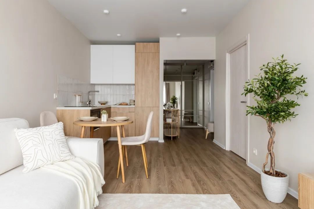 42㎡北欧小公寓丨Svetlana Ryabova-6