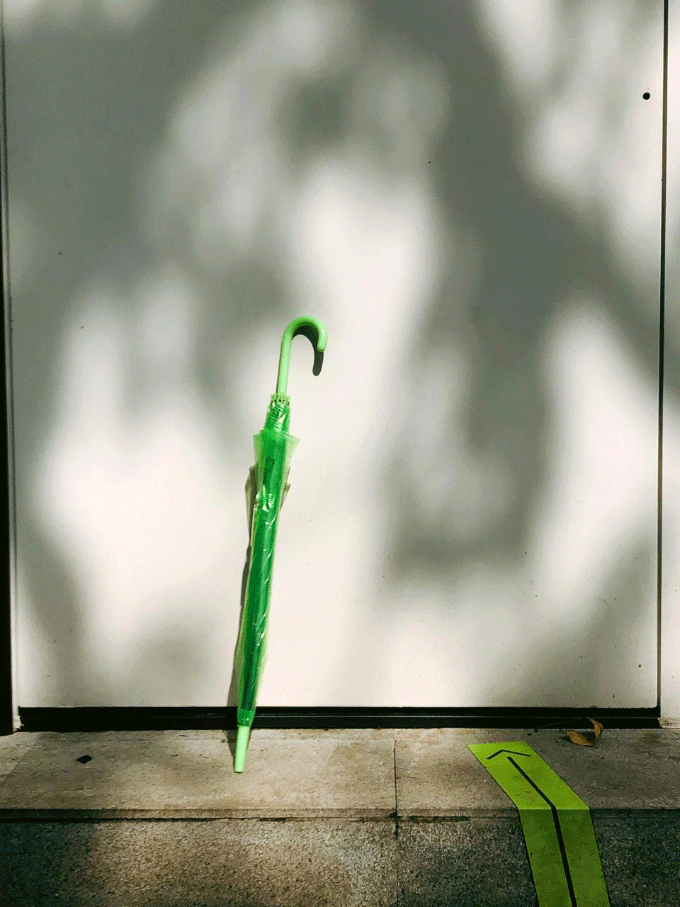 在地电台VOL.07 | 夏日解暑的最佳方式是？-2