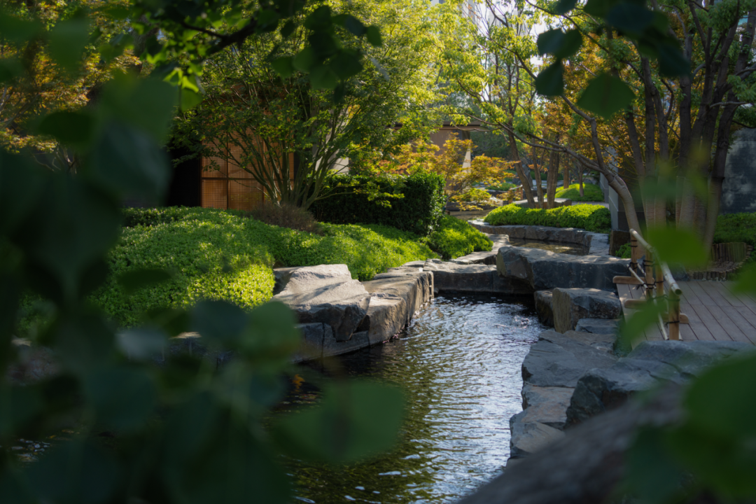 金沙东院大区丨中国商丘丨道合设计-54