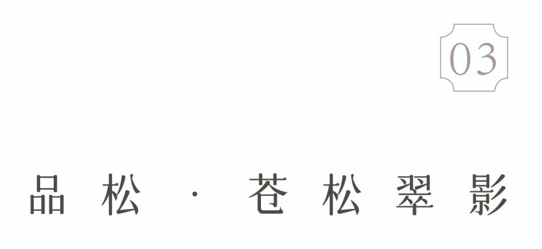 扬州中海翠语江南项目丨中国扬州丨成都赛肯思创享生活景观设计股份有限公司-18