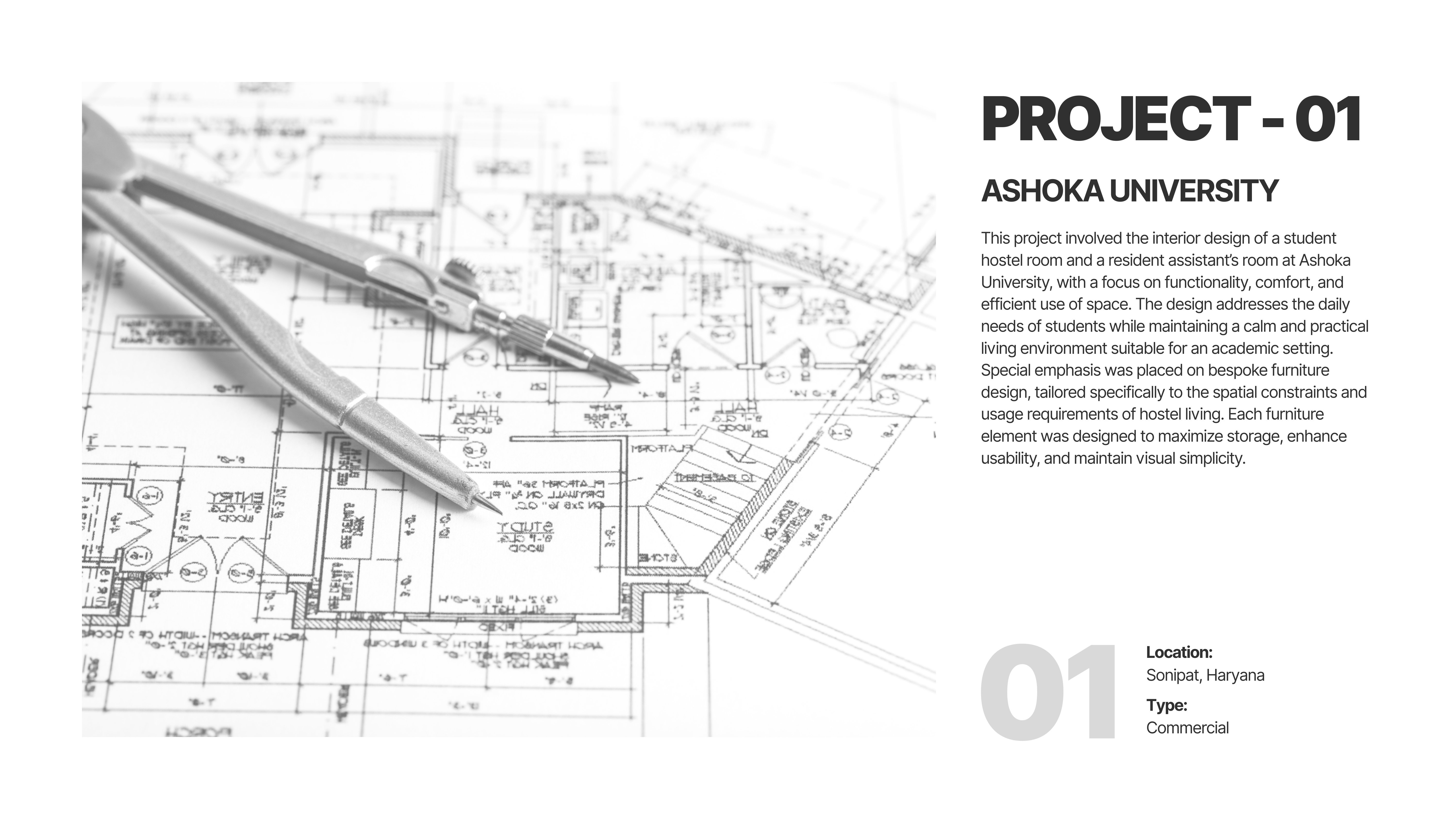 Professional Portfolio-2