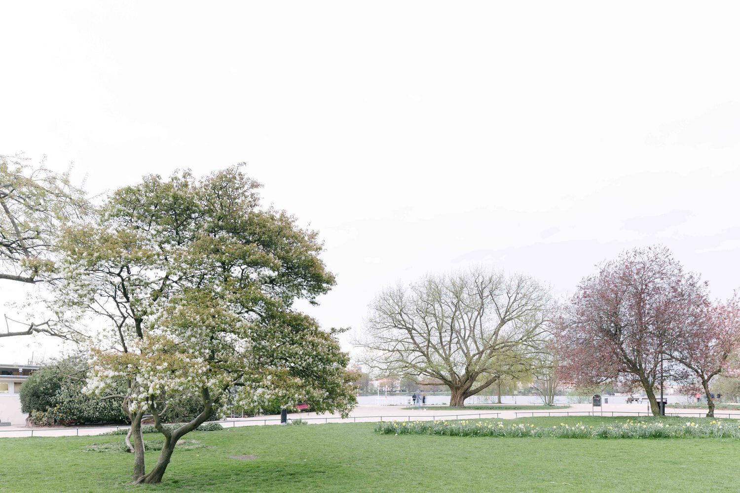 汉堡 Alster 河畔的现代“Alsterterrassen”建筑丨德国汉堡丨blrm Architekt*innen-24