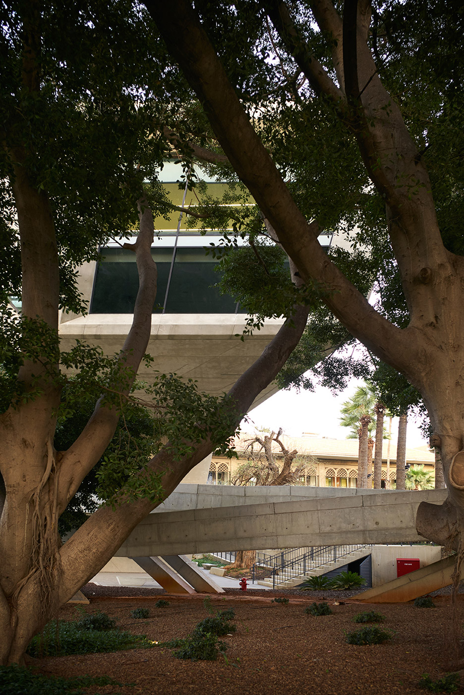 伊萨姆·法里斯研究所-9