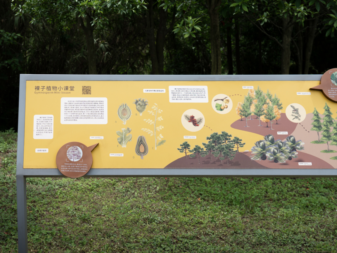 白鹭湾湿地公园自然探索基地丨中国成都丨上海柏熙标识有限公司-49