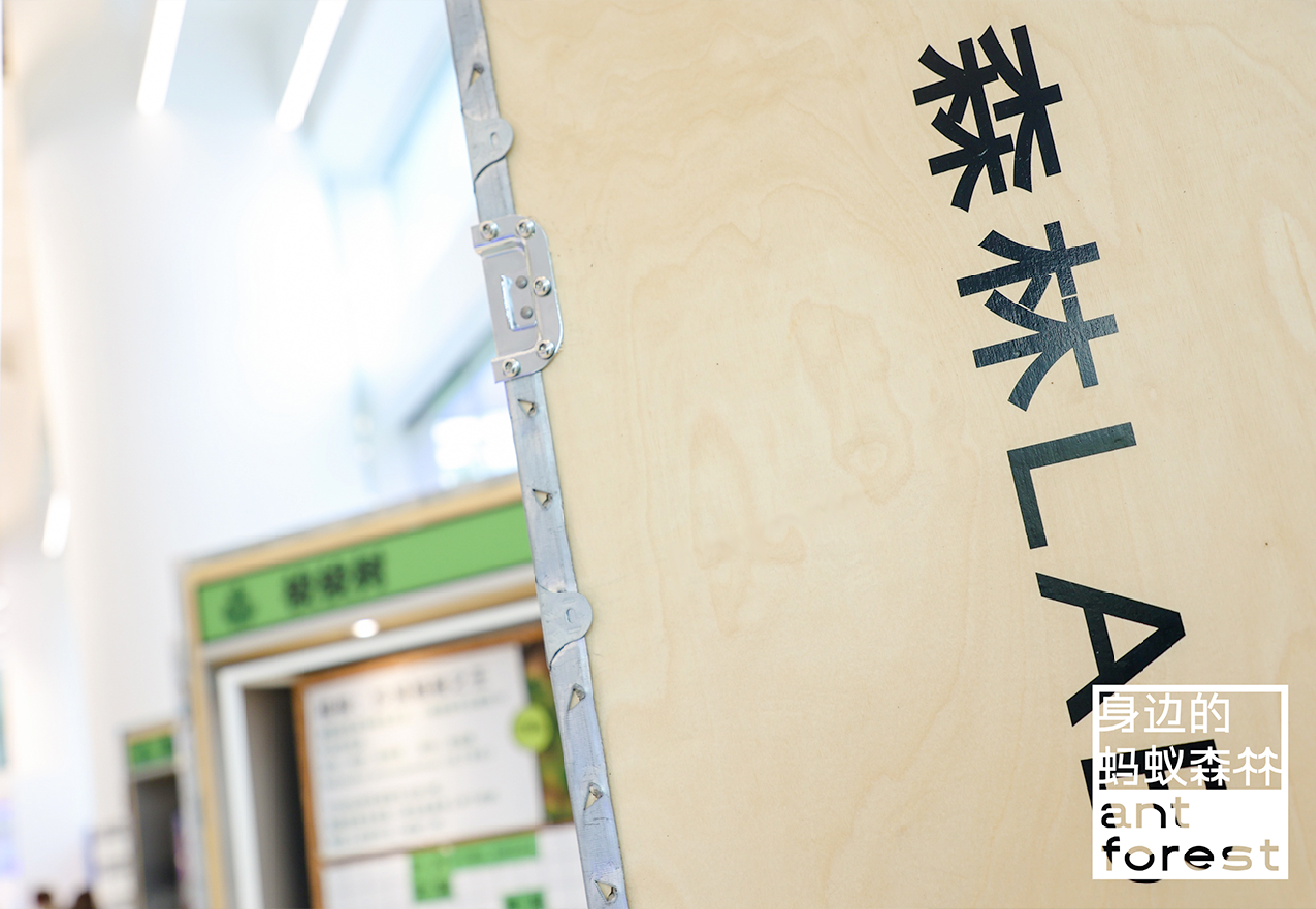 《森林LAB · 城市里的荒漠森林》互动展览丨中国杭州丨蚂蚁森林×不是美术馆-33