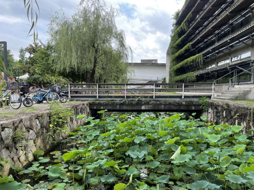 象山校区十处空间设计丨中国丨郦文曦建筑事务所-205