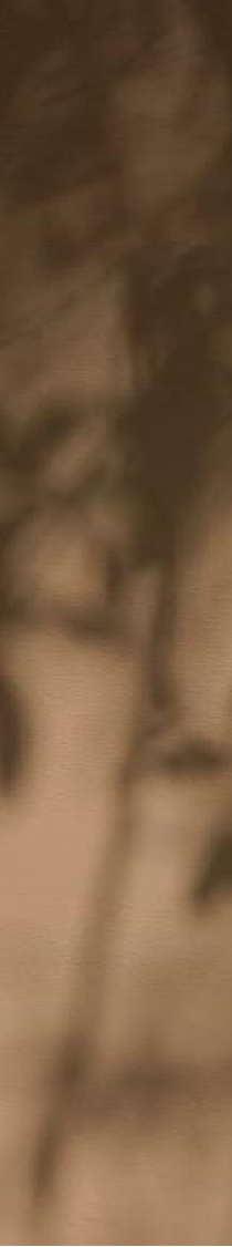 中国玉空间设计大赛8.31截止征稿！【佳作赏析】唐山世纪花园-27