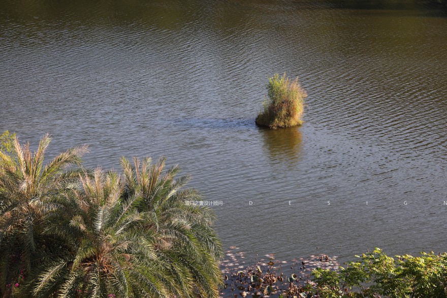 绿光森林丨中国泉州丨厦门之壹设计顾问有限公司-61