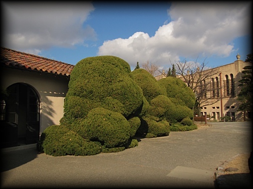 神户女学院近代建筑丨W.M.沃里斯-38