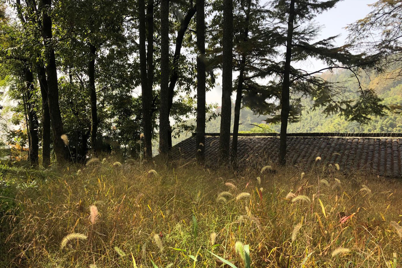 W+W ARCHITECTS 瓦加瓦-11