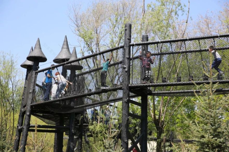 黑森林 | 儿童乐园的黑色艺术-25