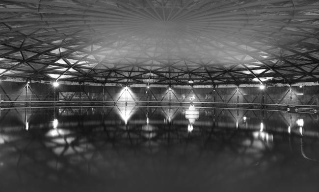 “老虎与乌龟”丨德国丨德国艺术家乌尔里希·根茨和海克·穆特-86