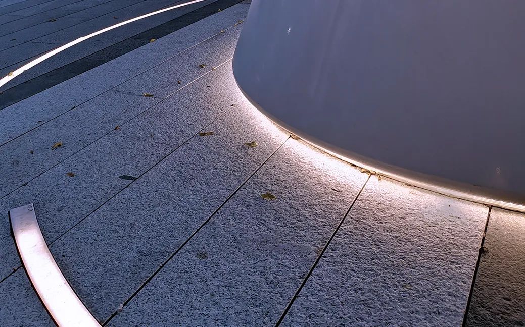 追梦的鱼儿 | 深圳华晖瑞禧-83