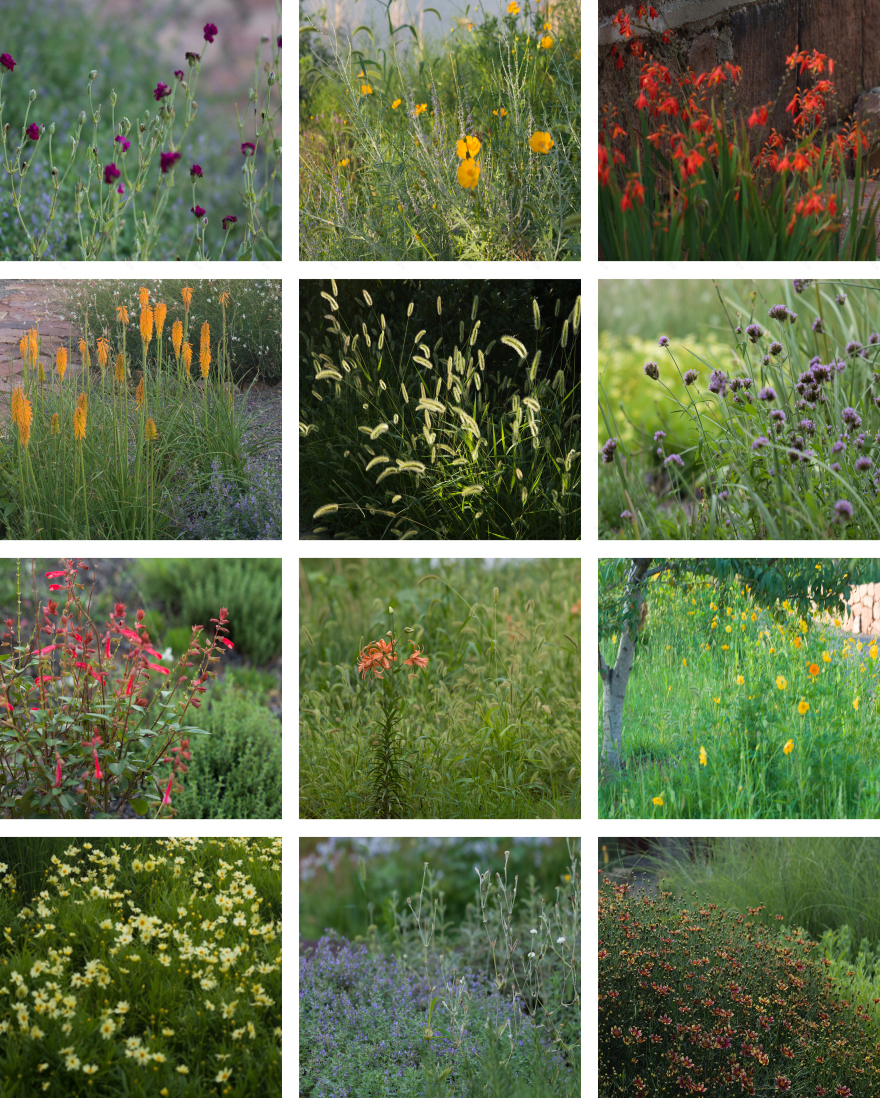 谷堆白沙 一期 景观丨中国白沙丨boll是园-174