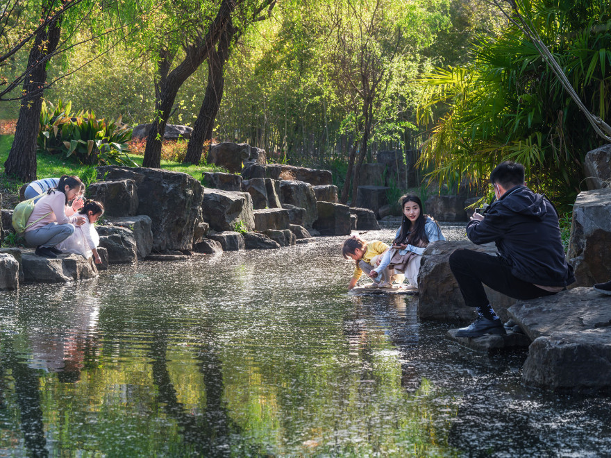 上海浦东牡丹园改造丨中国上海-40