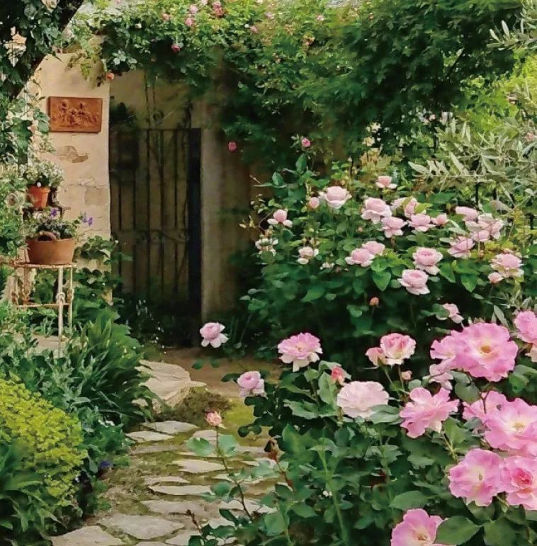 闲暇时光,品读八月的诗与远方-114