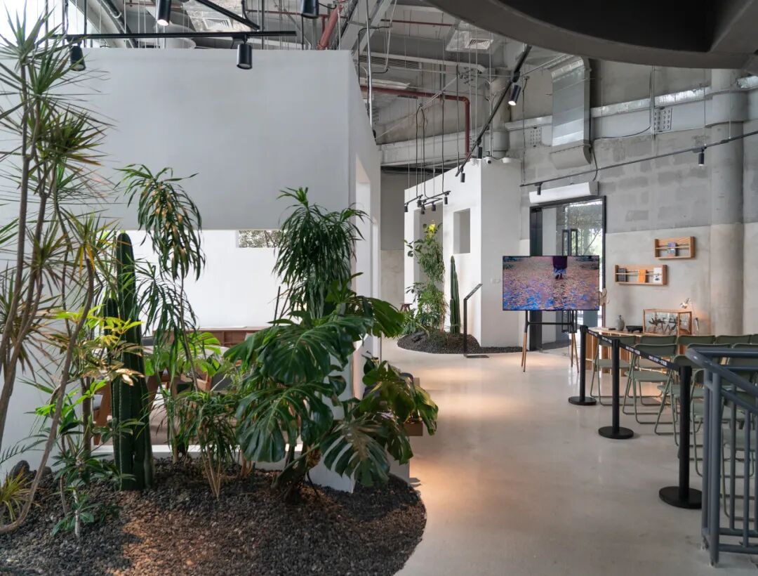 一尺花园前滩休闲公园店-22