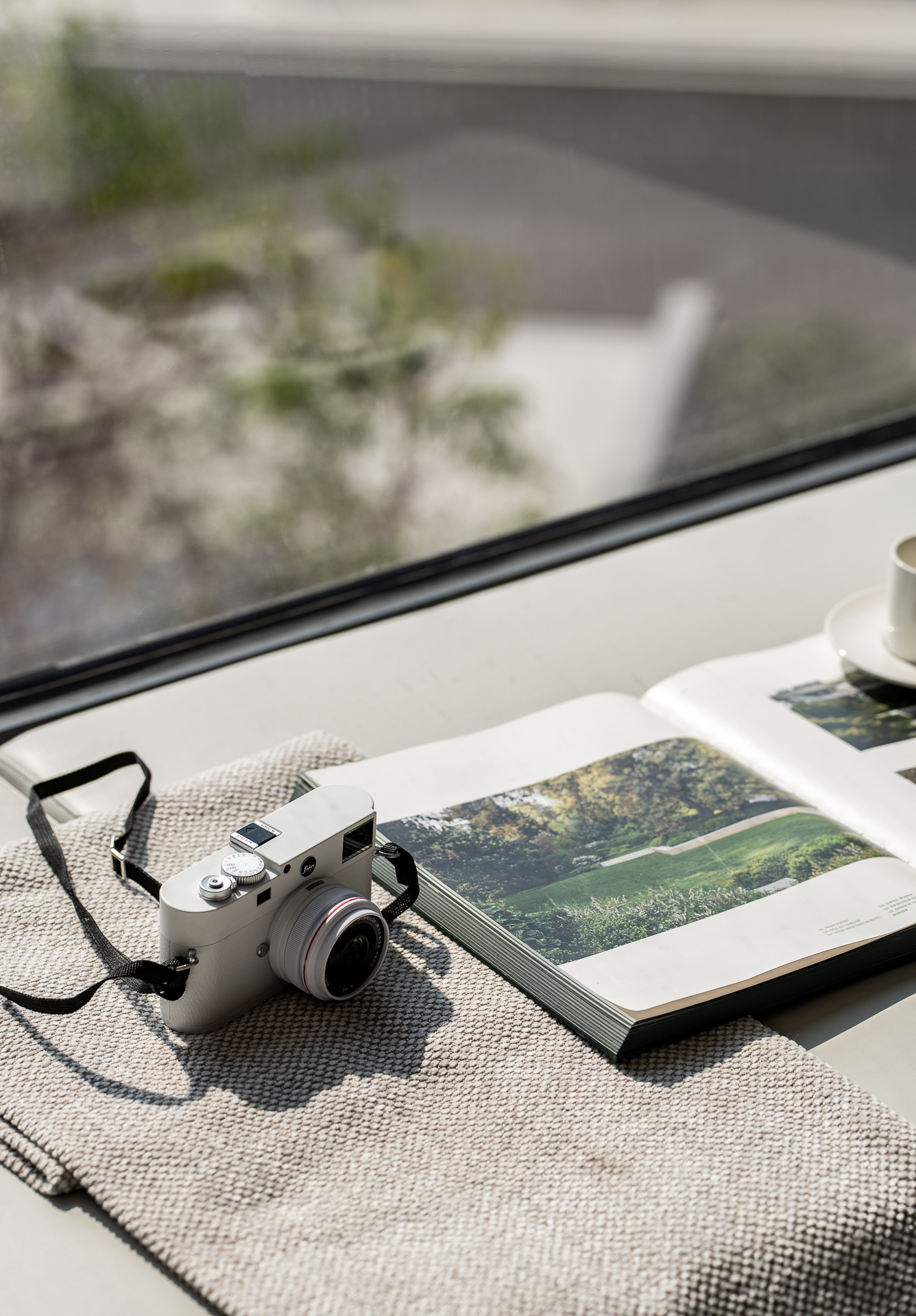 INNEST意巢设计：我的家里不能没有植物-1