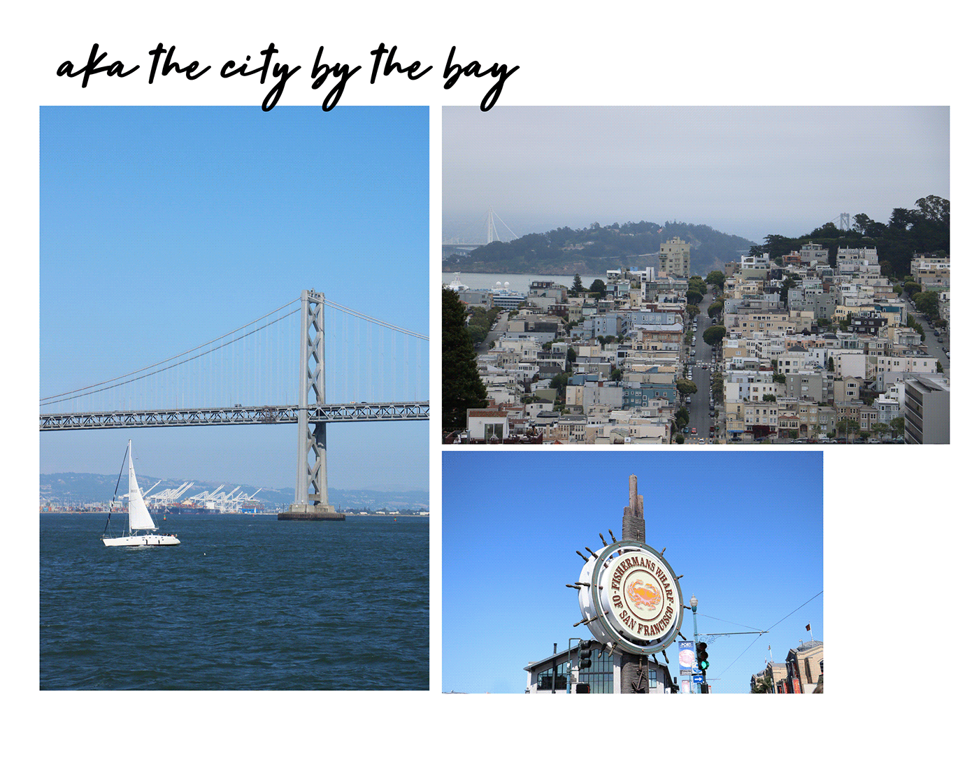 2017 美国之旅摄影集-9