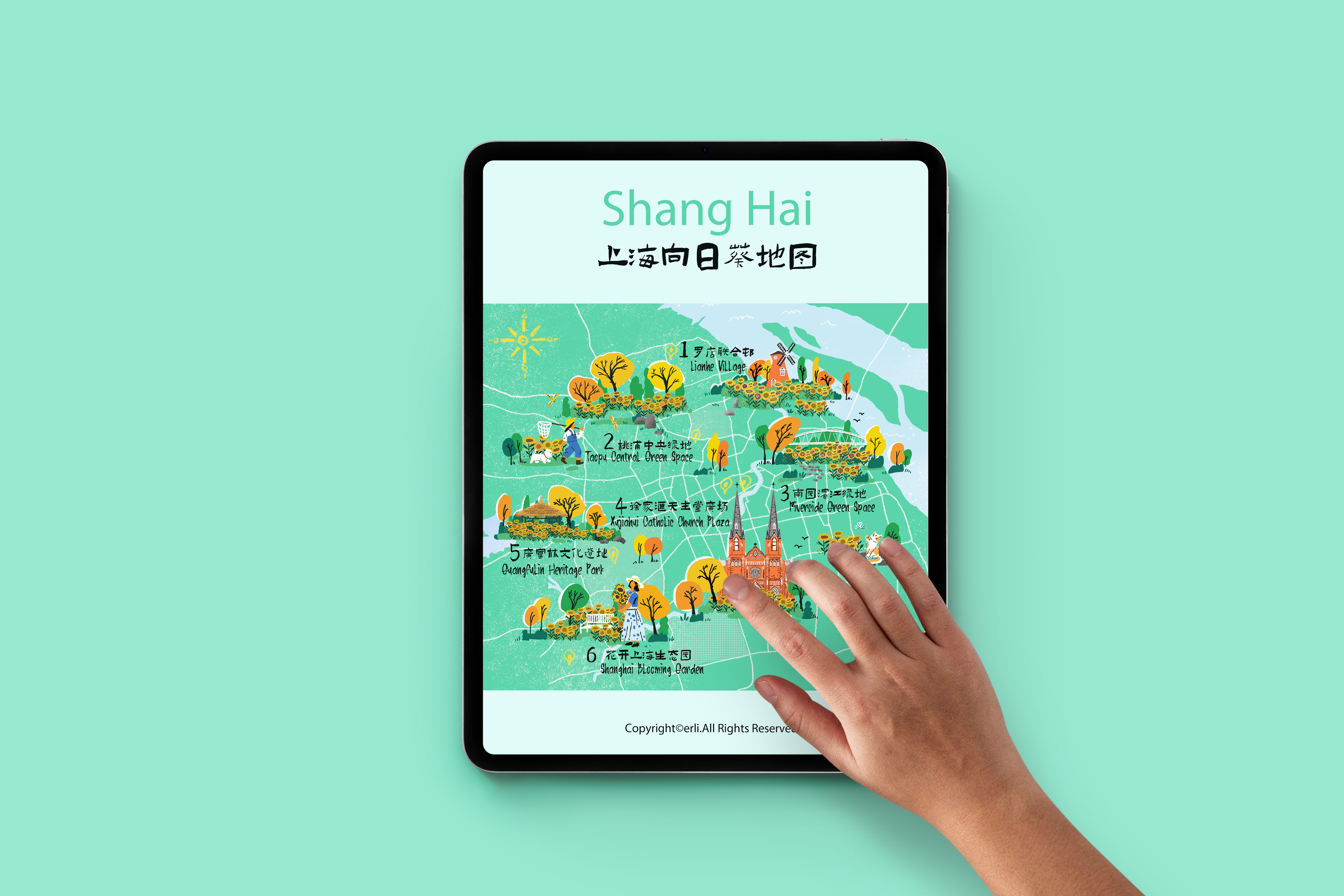 Shanghai Sunflower map|上海向日葵地图-8