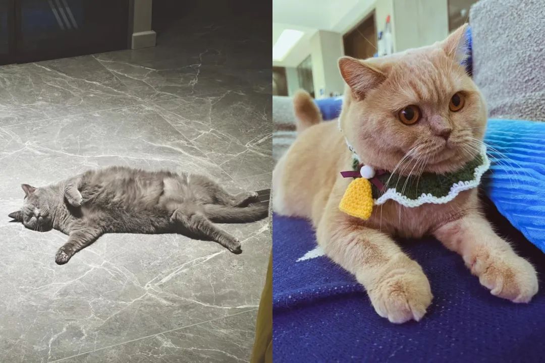 龙湖两江新宸现代风舒适家居设计丨中国重庆丨重庆琢信装饰有限公司-2