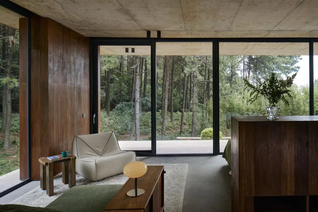 山谷松林里的隐世秘境之旅｜PrivateJourneyinthePineryValley-153