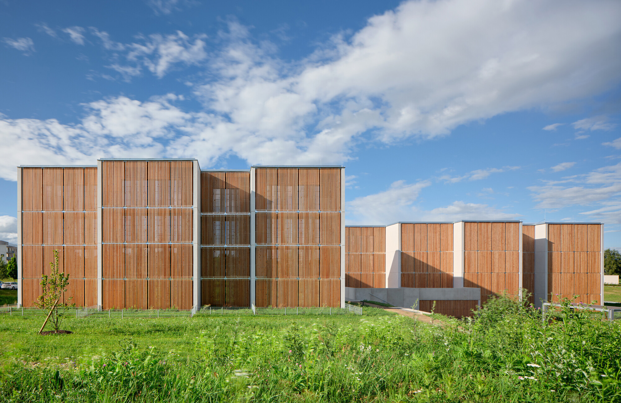 兹达尔木制房屋丨捷克丨Kuba & Pilar architekti-13