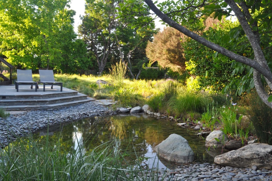小面积荒野丨Huettl Landscape Architecture-0