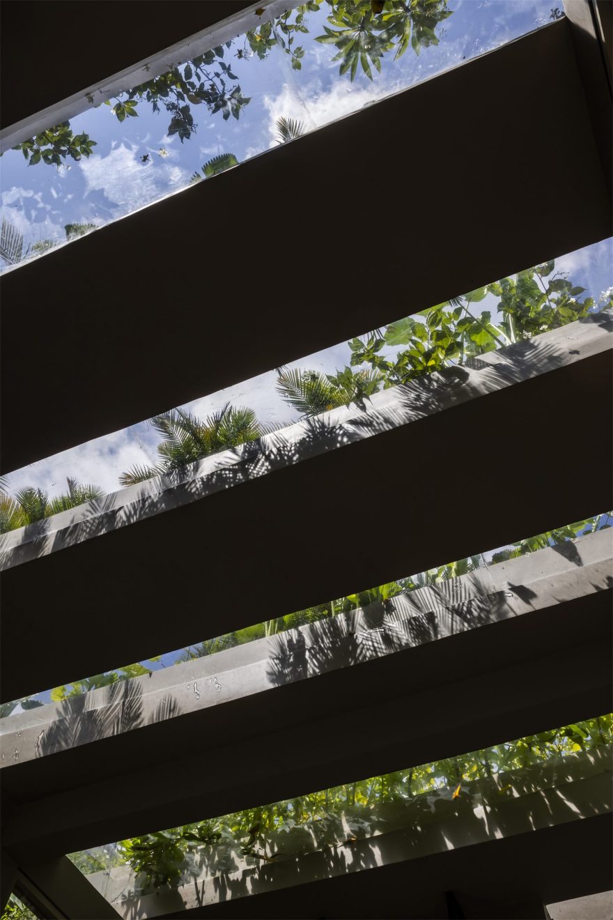 越南庆和绿色办公体验空间丨Pham Huu Son Architects-32