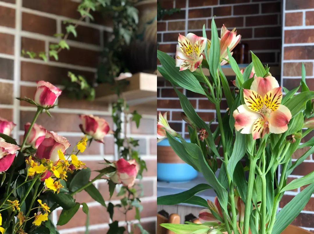 融合岁月的家 | 旗袍美人 Z 女士的定制生活-22