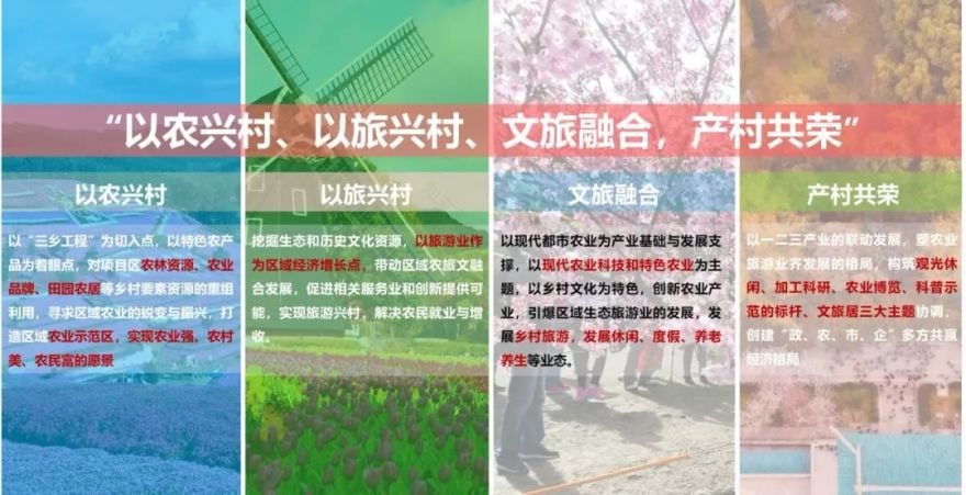 后疫情时代乡村规划的“思”与“变”-41