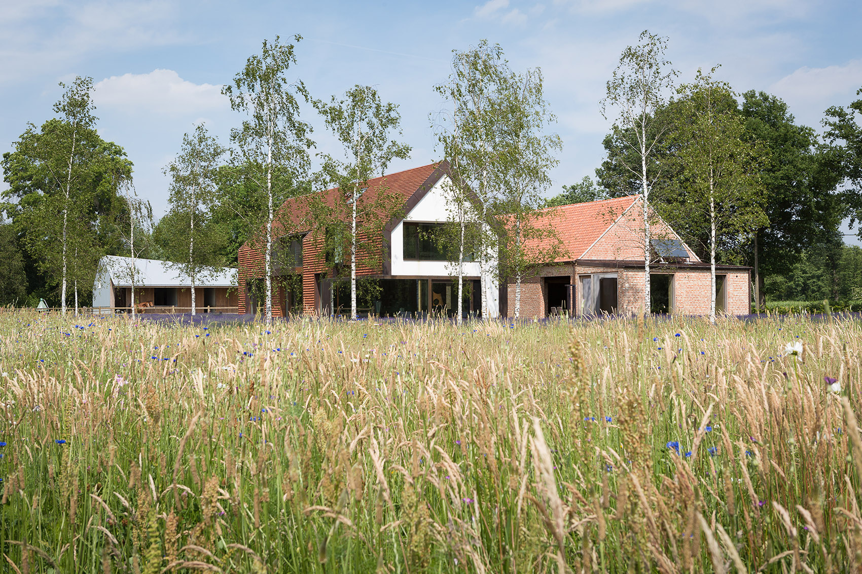 Olmen住宅,比利时 / Pascal François Architects-5