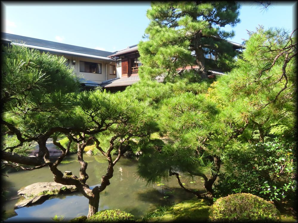 日本私立学校振興・共済事業団京都宿泊所『白河院』丨日本京都丨武田五一（建筑）,七代目小川治兵衛（植治）（庭园）-27