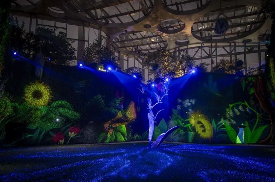 世博文化园温室植物园夜游照明设计丨RDI瑞国际照明设计-27