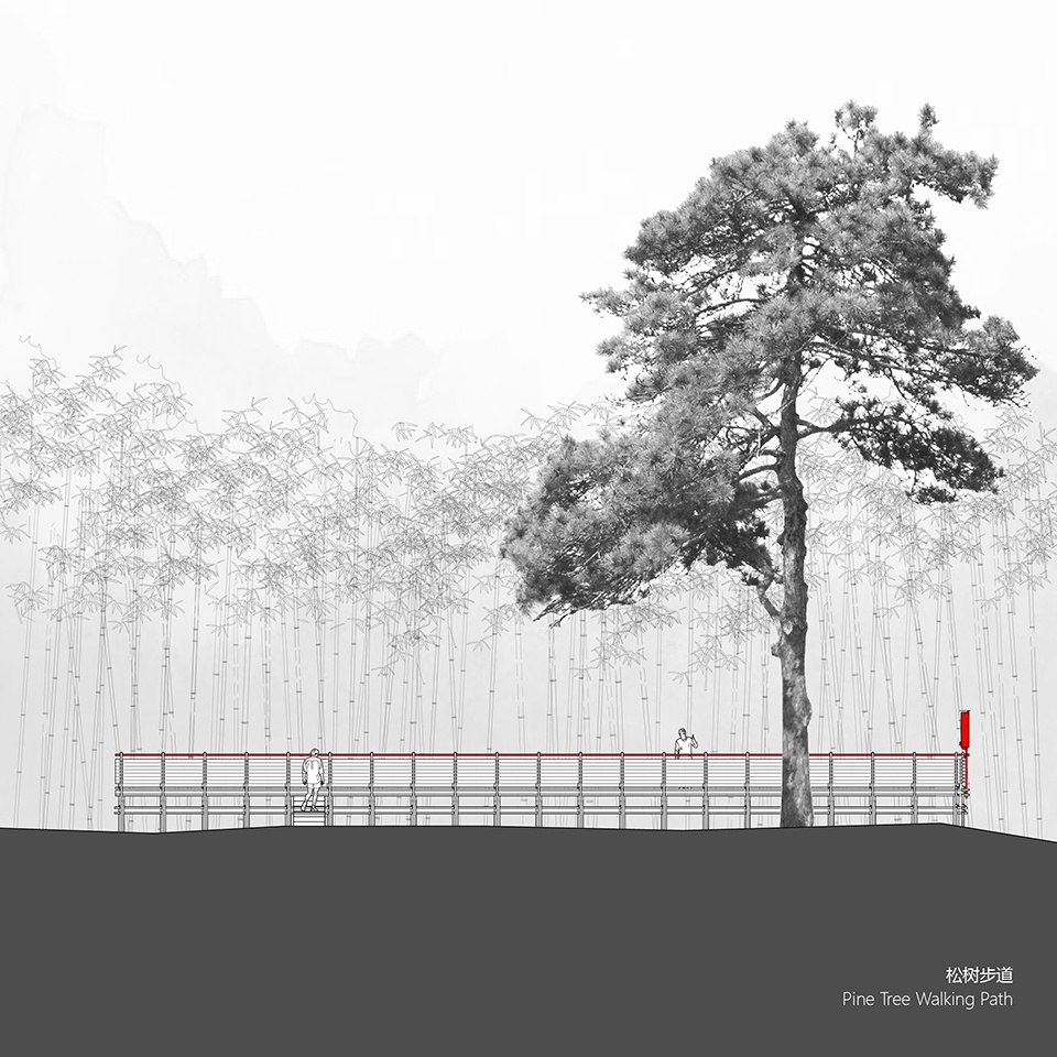 大别山森林徒步道(竹林·大松树段)丨中国安徽丨傅英斌工作室-51