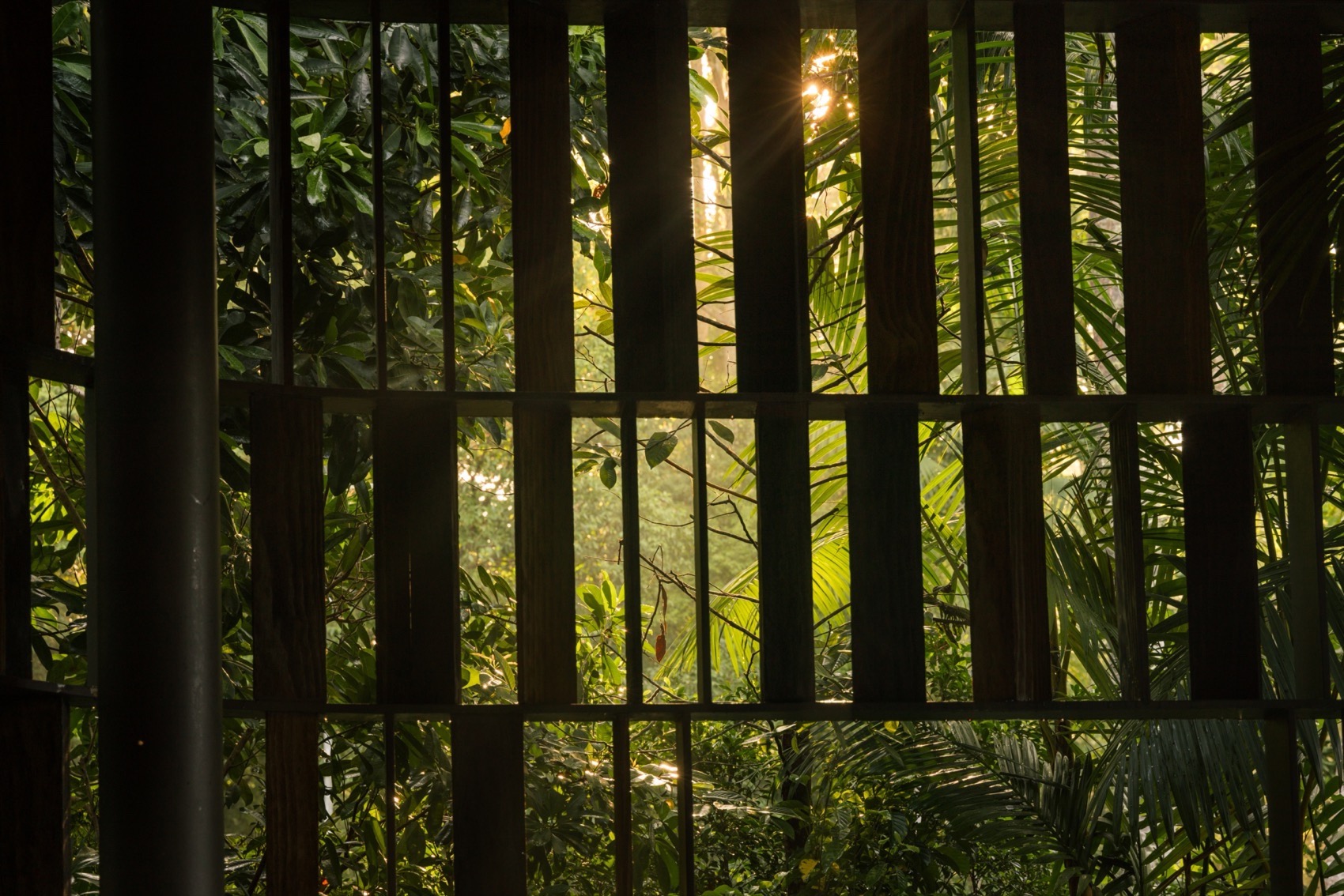 触动伊甸园住宅丨新加坡丨Wallflower Architecture + Design-66