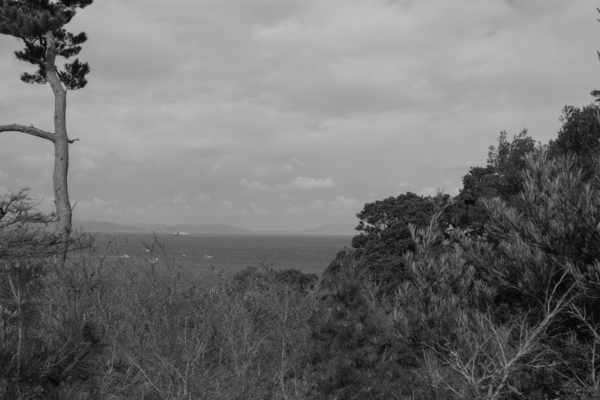友ヶ島の荒廃美-3