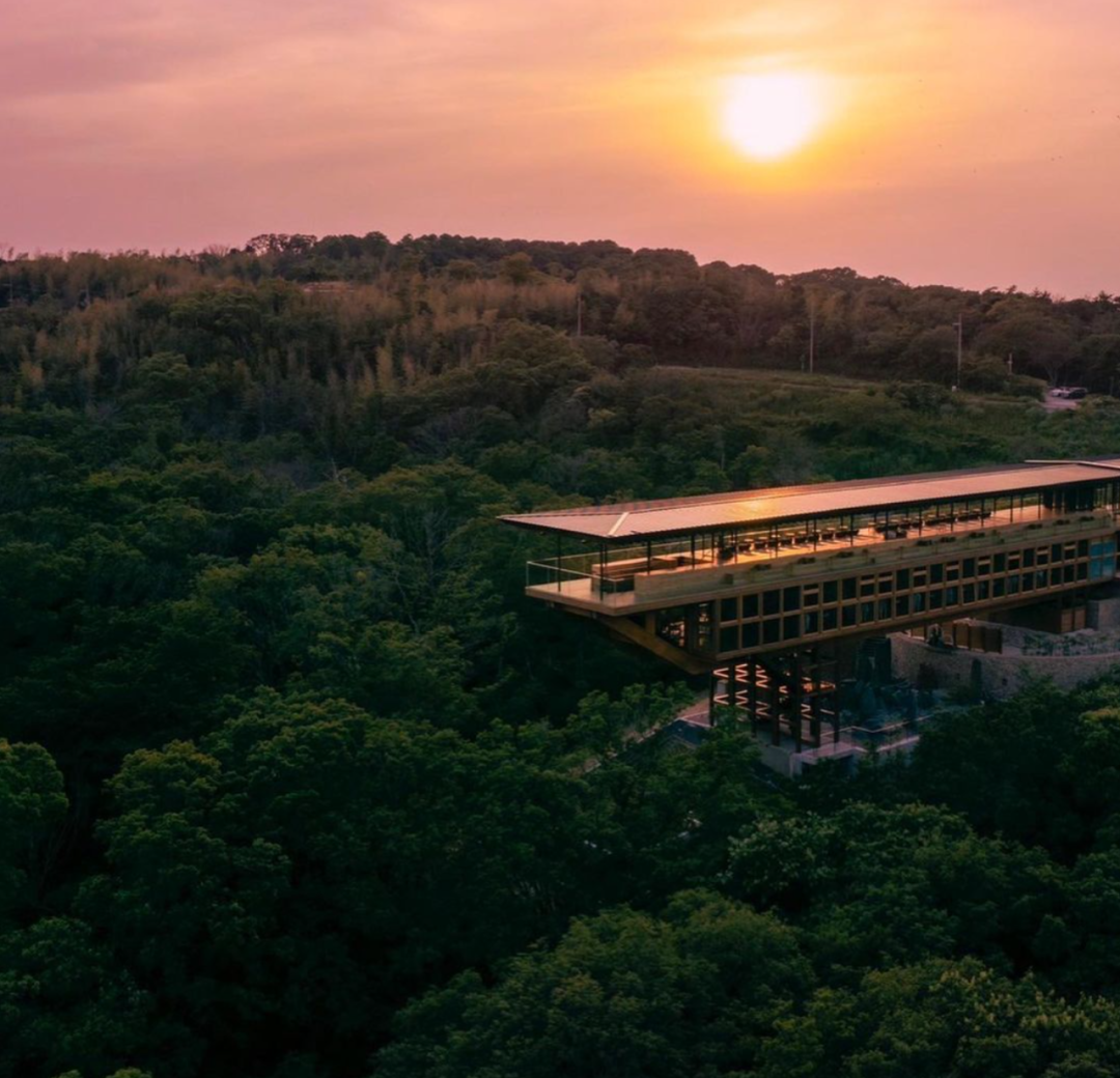 禅意空间 · 坂茂悬浮森林木结构禅修场丨日本兵库-61