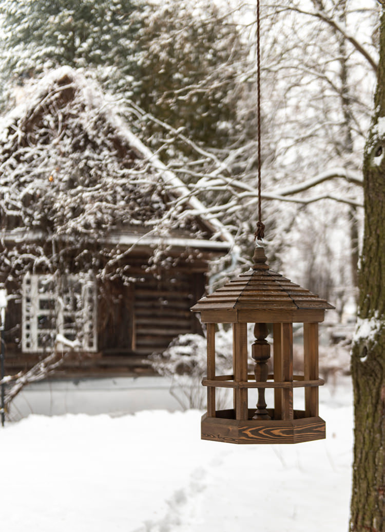 “Доме Ракицкого”（拉基茨基之家）项目丨俄罗斯丨Женя Жданова（珍娅·日丹诺娃）,景观工作室МОХ-9