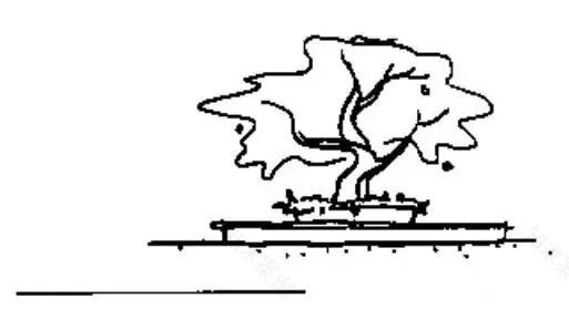 跟着大师西蒙兹学种植设计 | 景观设计师的终生目标和工作-39