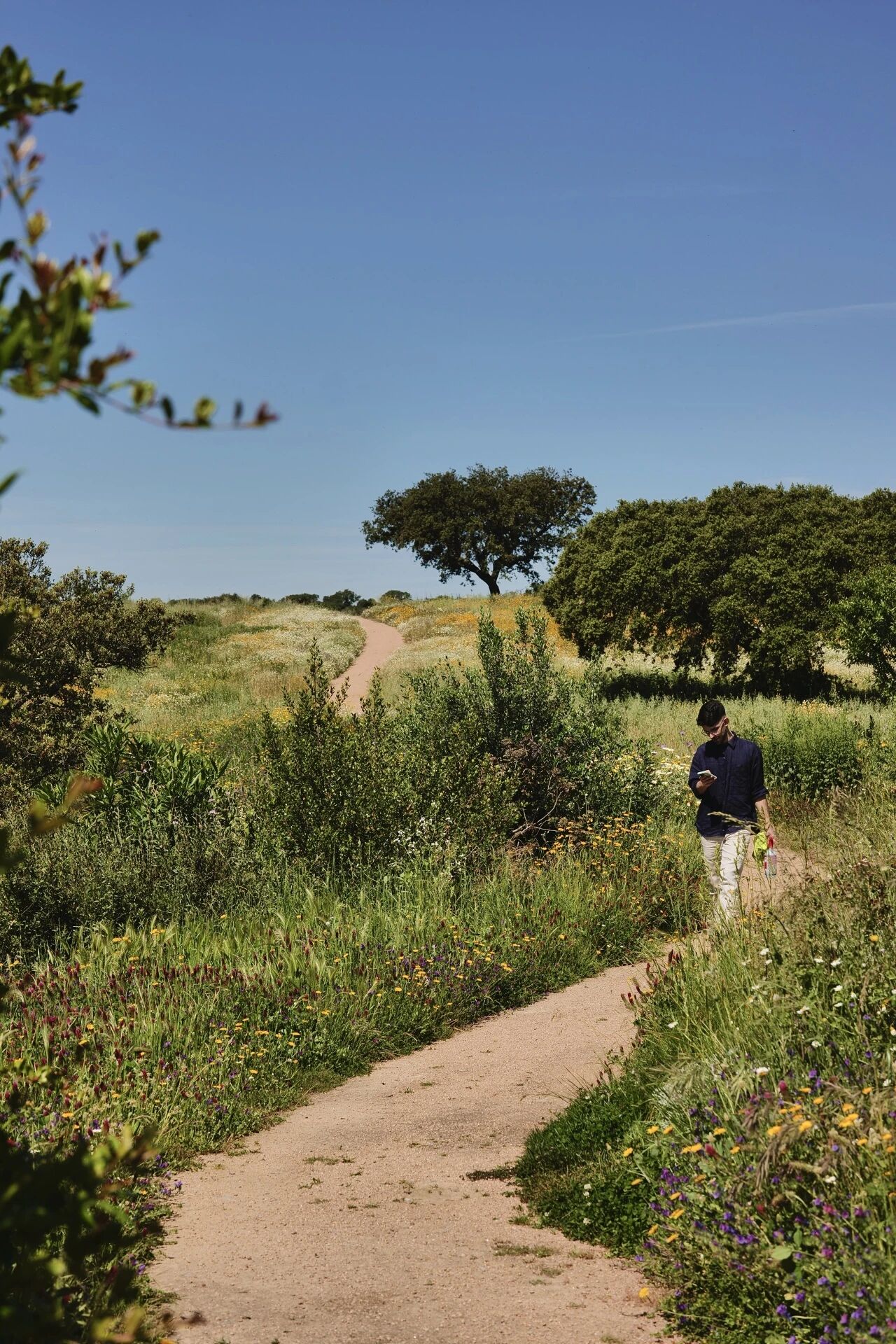 葡萄牙名厨 José Avillez 湖畔居所 Casa Nossa丨Joana Astolfi 与 Studio Astolfi 团队-56