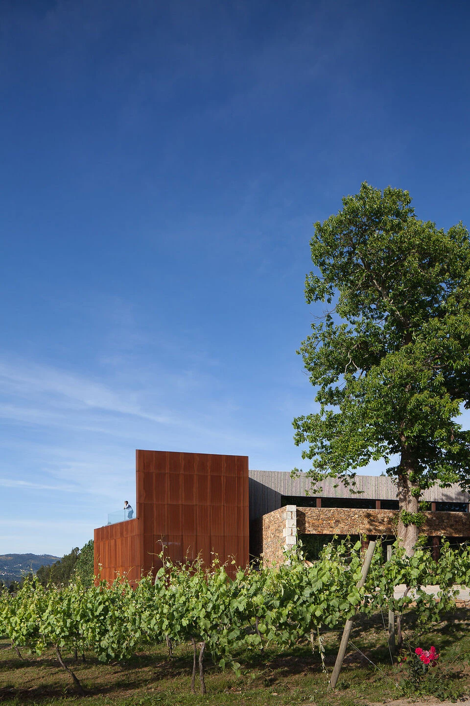 葡萄牙酒庄酒店-14