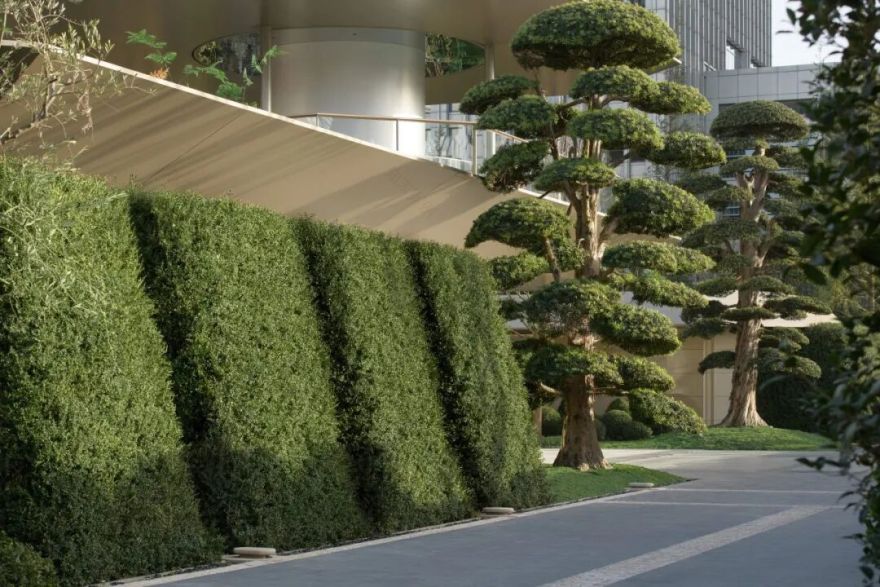 安澜·上海丨中国上海丨翊象设计(方案),LAURENT罗朗设计(施工图,监造)-16